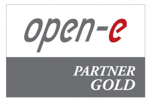 Open-E-Partner-Logo-Gold-300×213