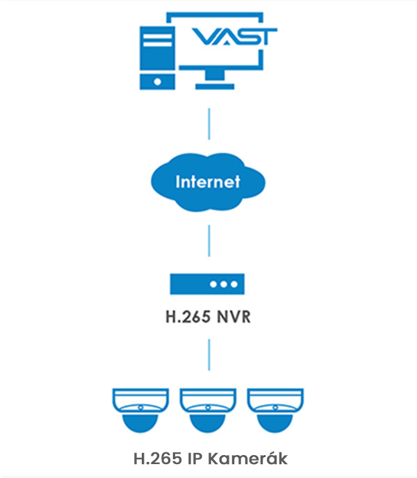 H265 H265
