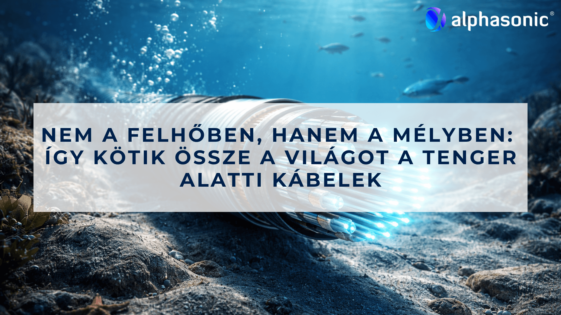 Nem a felhőben, hanem a mélyben: így kötik össze a világot a tenger alatti kábelek