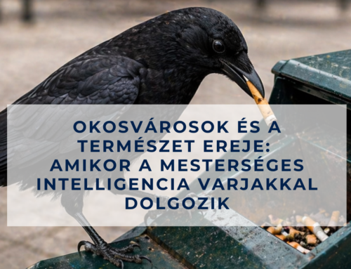 Okosvárosok és a természet ereje: Amikor a mesterséges intelligencia varjakkal dolgozik